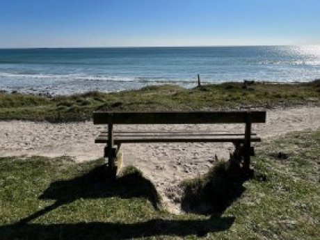 blog-img-medium-2426-mobile